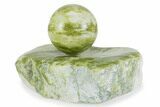 Polished Noble Serpentine Sphere with Base - Washington #372632-1